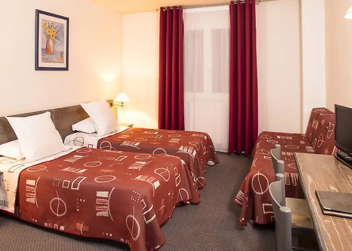 Le Montaigu 3* Luz-Saint-Sauveur